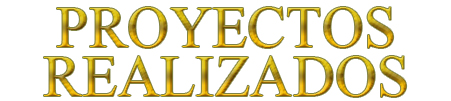 Proyectos Realizados